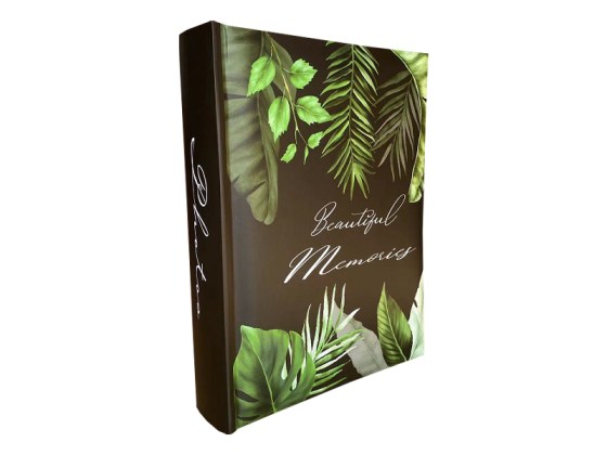 Maranta